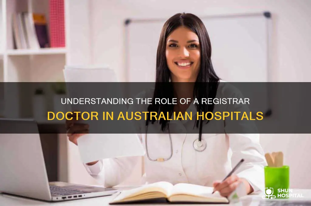 what is a registrar doctor in a hospital australia