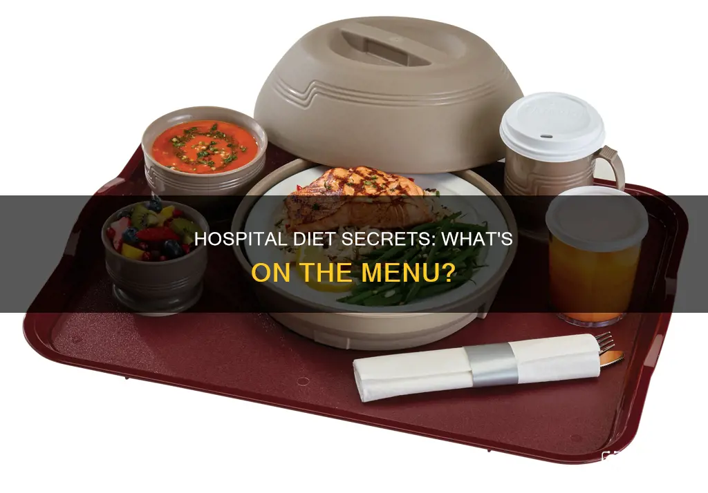 what is a regular diet in hospital