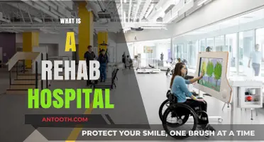 Understanding Rehab Hospitals: A Comprehensive Guide to Recovery Centers