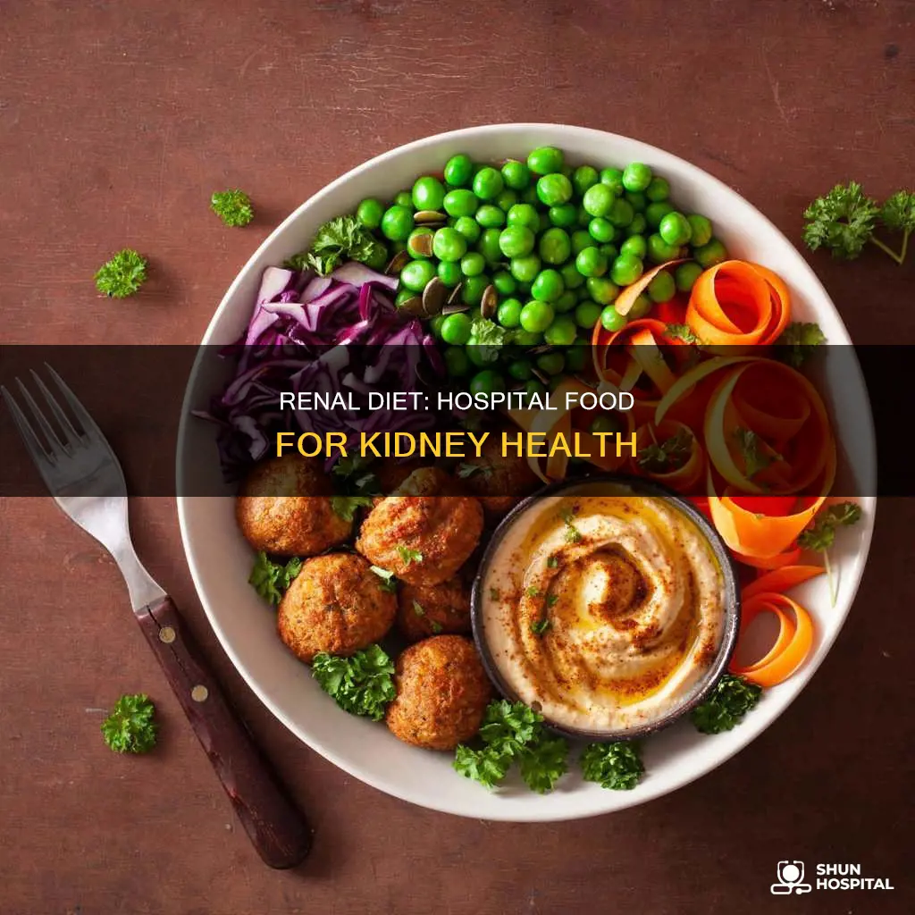 what is a renal diet in hospitals