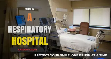 Understanding Respiratory Hospitals: A Comprehensive Guide