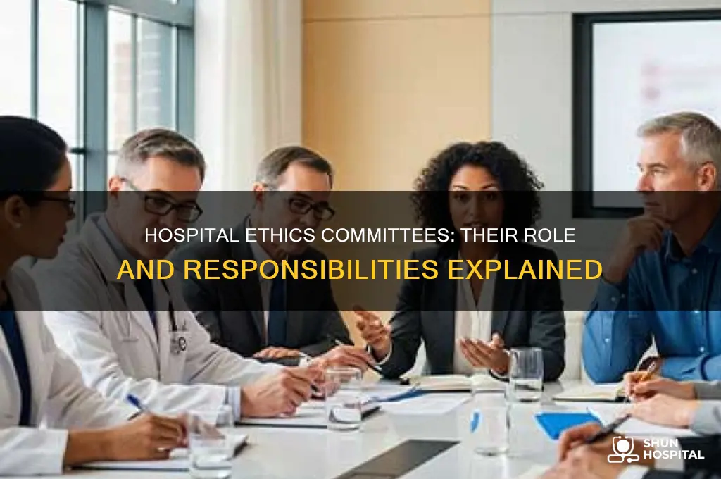what is a responsibility of the hospital ethics committee