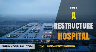 Transforming Healthcare: Understanding the Concept of a Restructured Hospital