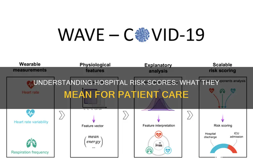 what is a risk score when in the hospital