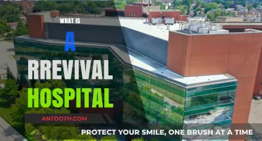 Reviving Hope: Understanding the Role of Revival Hospitals