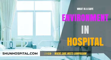 Creating Safe Hospital Environments: A Priority