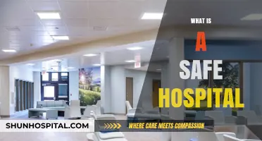 Ensuring Safety in Healthcare: What Makes a Hospital Secure?