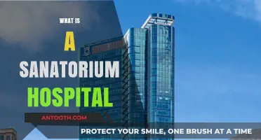 Exploring the Healing Legacy of Sanatorium Hospitals