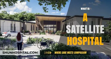 Understanding Satellite Hospitals: A Comprehensive Guide