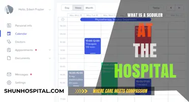 Hospital Schedulers: Managing the Chaos