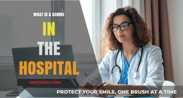 The Role of Medical Scribes in Hospitals Today