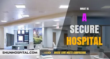 Safeguarding Health: Understanding the Concept of a Secure Hospital