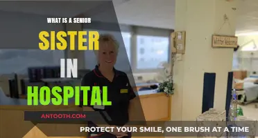 Senior Sister: Hospital Leadership Role