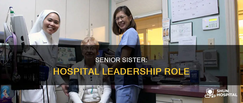what is a senior sister in hospital