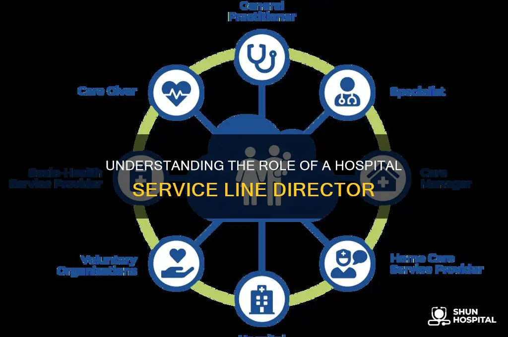 what is a service line director in a hospital