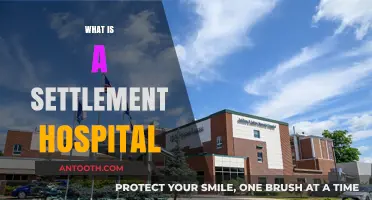 Understanding Settlement Hospitals: A Comprehensive Guide