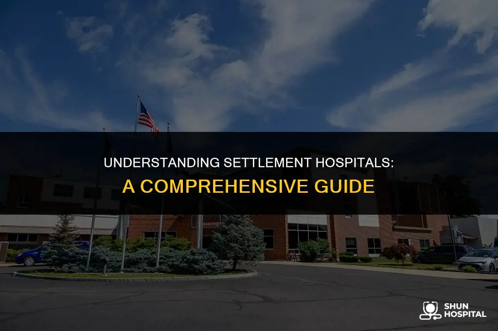what is a settlement hospital