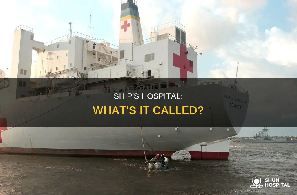what is a ship
