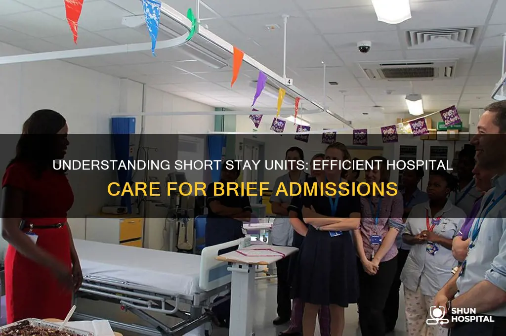 what is a short stay unit in a hospital
