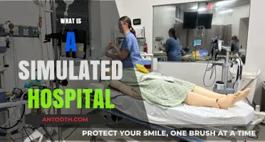 Exploring Simulated Hospitals: A Gateway to Enhanced Medical Training