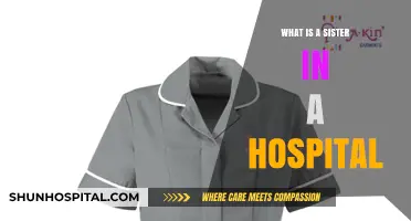 Hospital Sisters: A Vital Healthcare Role