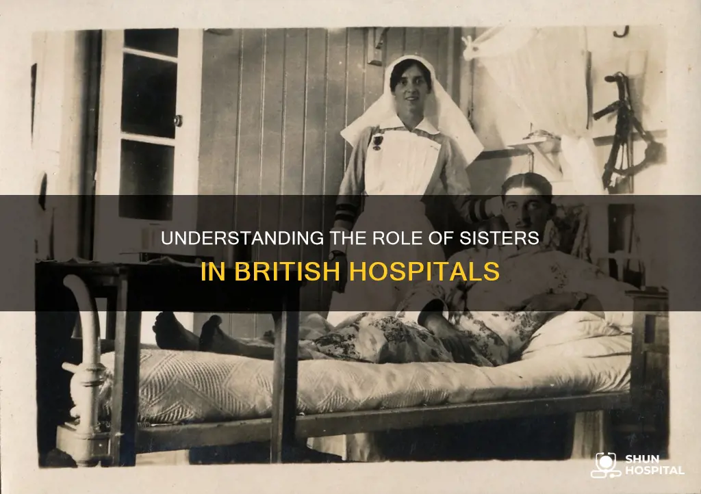 what is a sister in british hospital