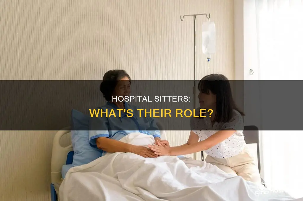 what is a sitter at a hospital