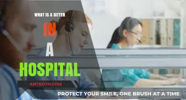 Hospital Sitters: What's Their Role?