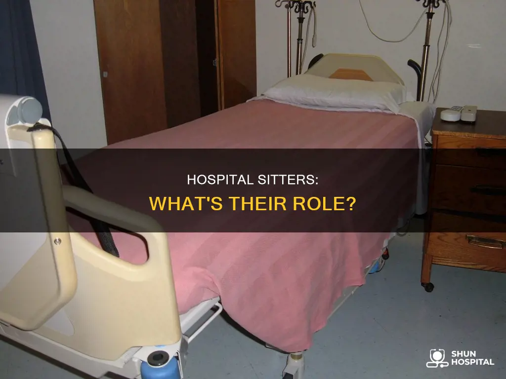 what is a sitter in a hospital
