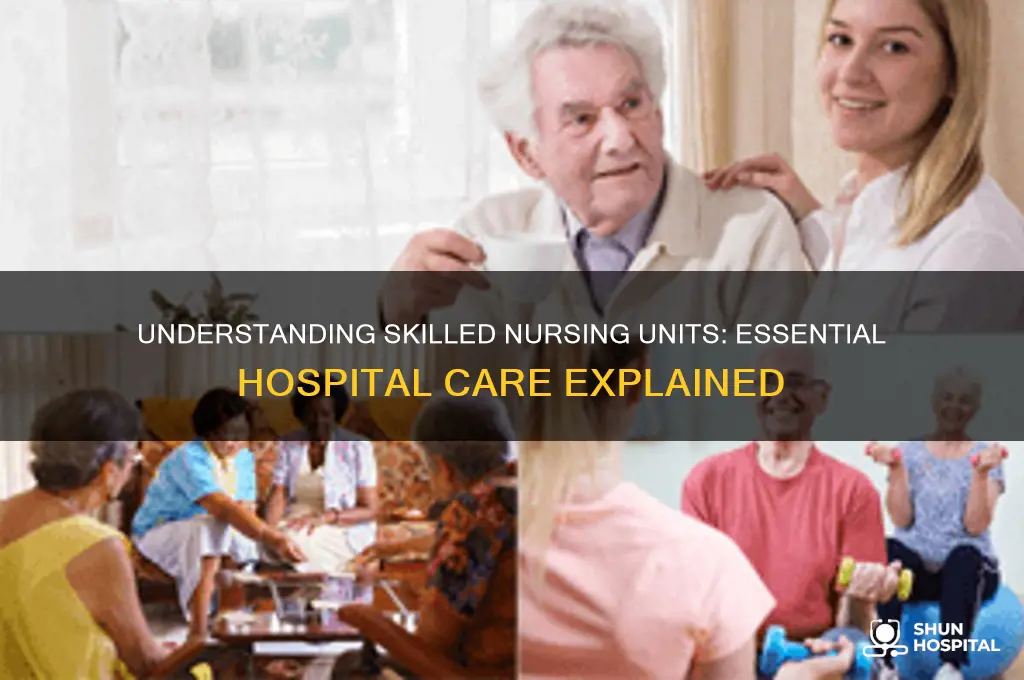 what is a skilled nursing unit in a hospital