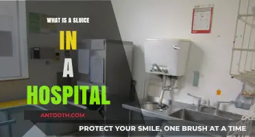 Sluice Rooms: Hospital Sanitation and Safety