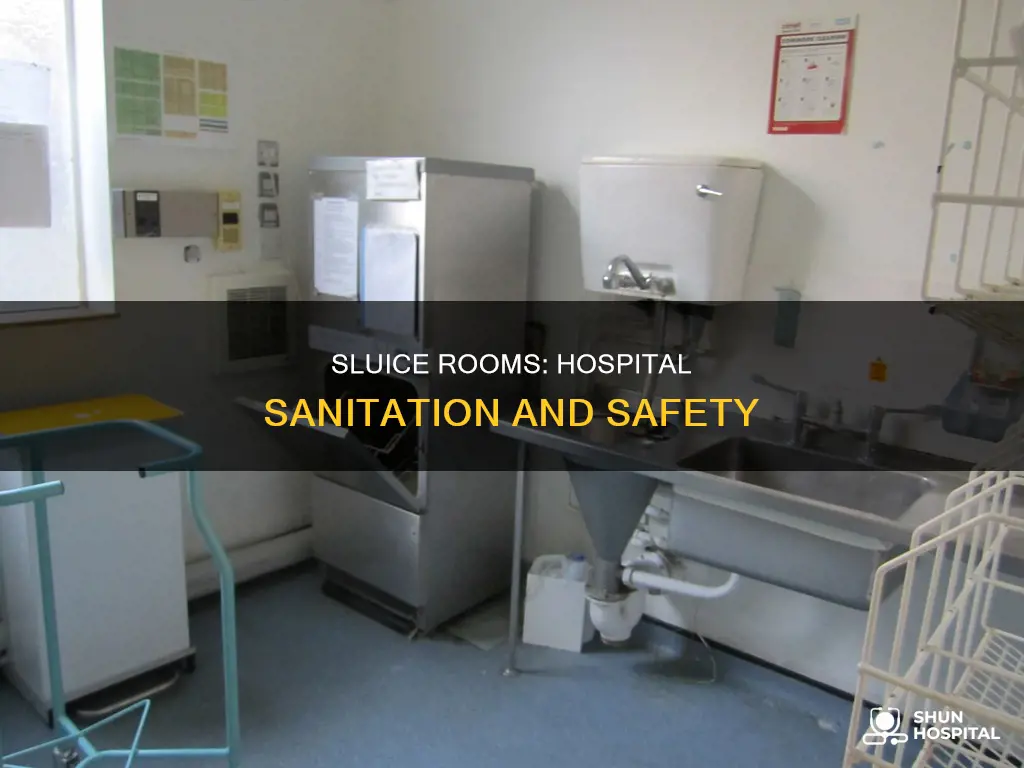 what is a sluice in a hospital