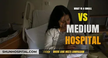 Small and Medium Hospitals: Size Comparison