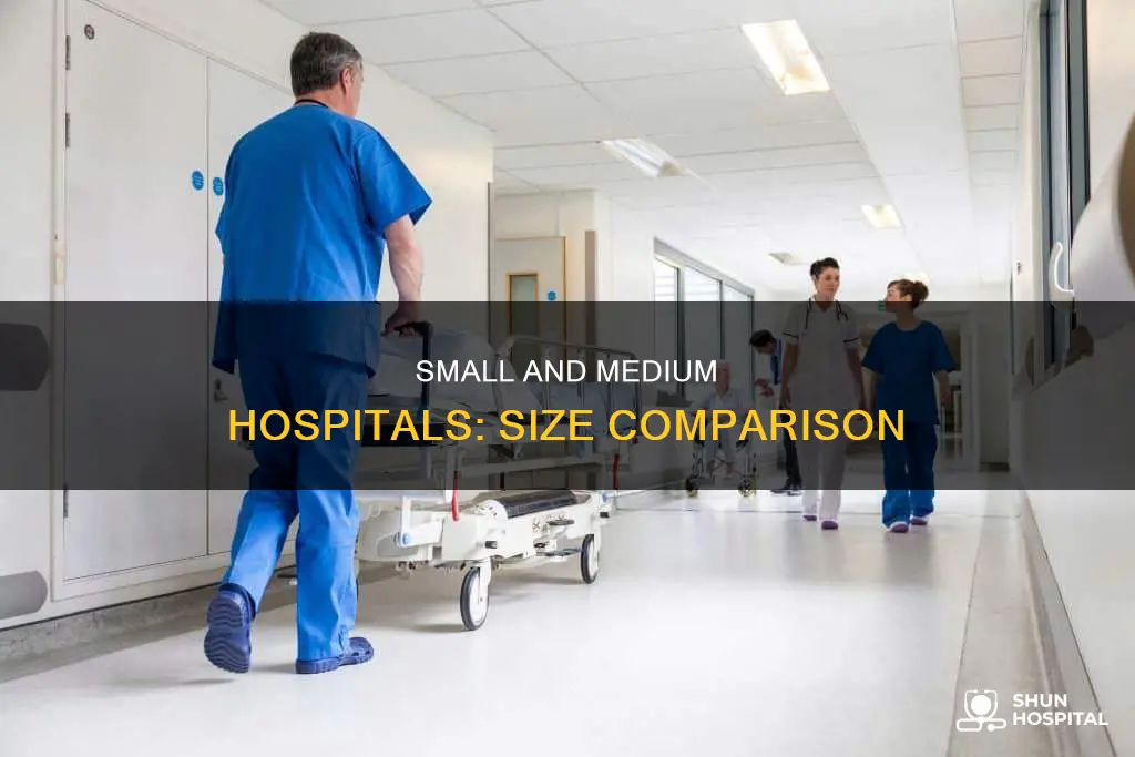 what is a small vs medium hospital