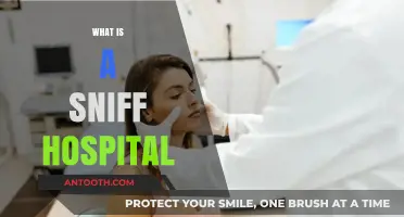 Exploring the Concept of Sniff Hospitals: A Comprehensive Guide