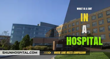 Understanding Hospital Hierarchy: The SNT Role Explained