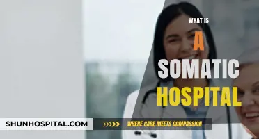 Understanding Somatic Hospitals: A Comprehensive Guide to Inpatient Care