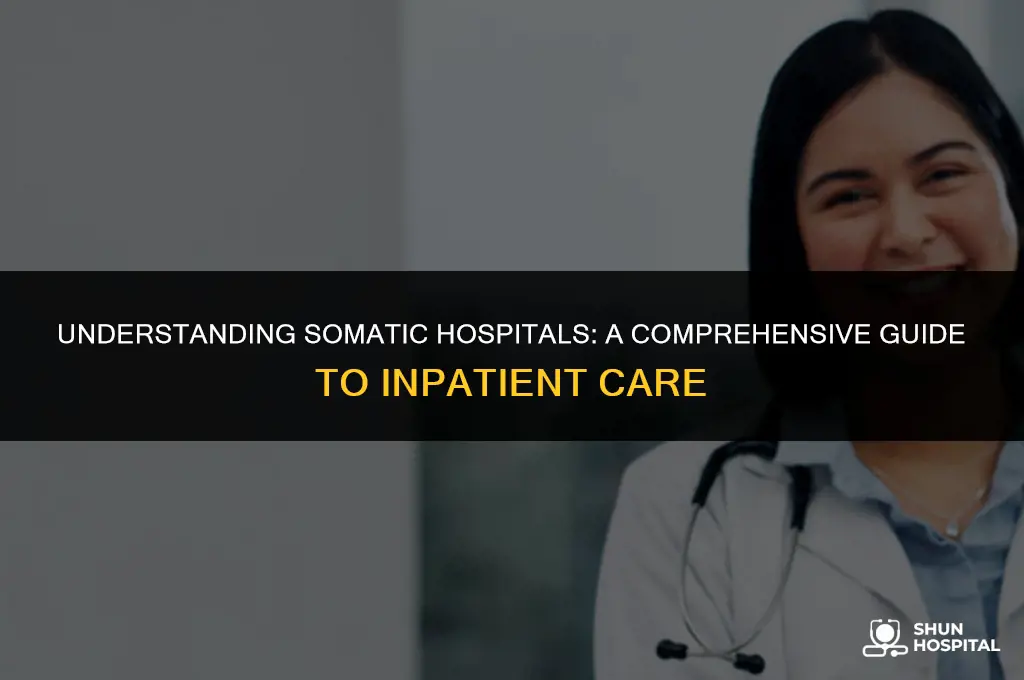 what is a somatic hospital