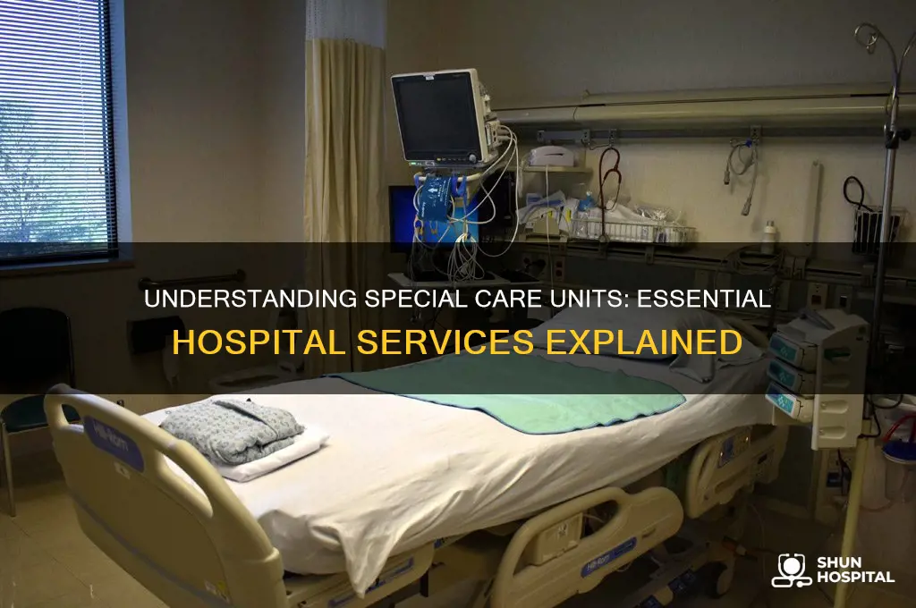 what is a special care unit in a hospital