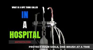 Understanding the Hospital Spit Receptacle: Its Name and Purpose Explained