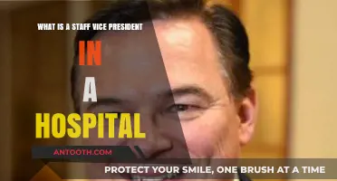 Understanding the Role of a Staff Vice President in Healthcare