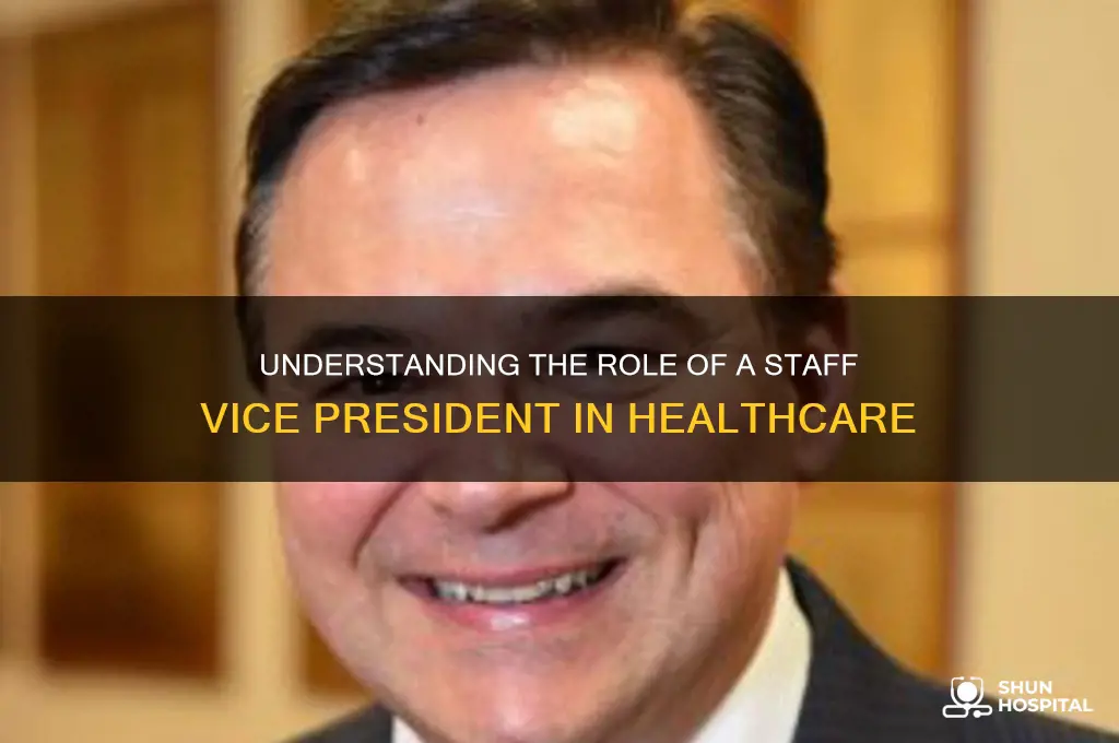 what is a staff vice president in a hospital