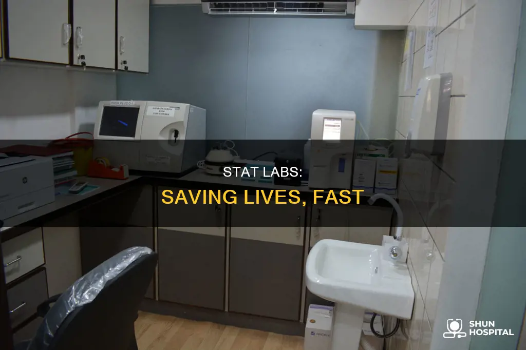 what is a stat lab in hospital