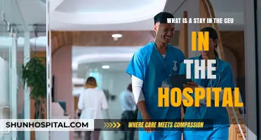 Understanding Hospital Stays in the CEU: A Comprehensive Guide