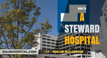 Understanding Steward Hospitals: A Comprehensive Guide to Their Role and Impact