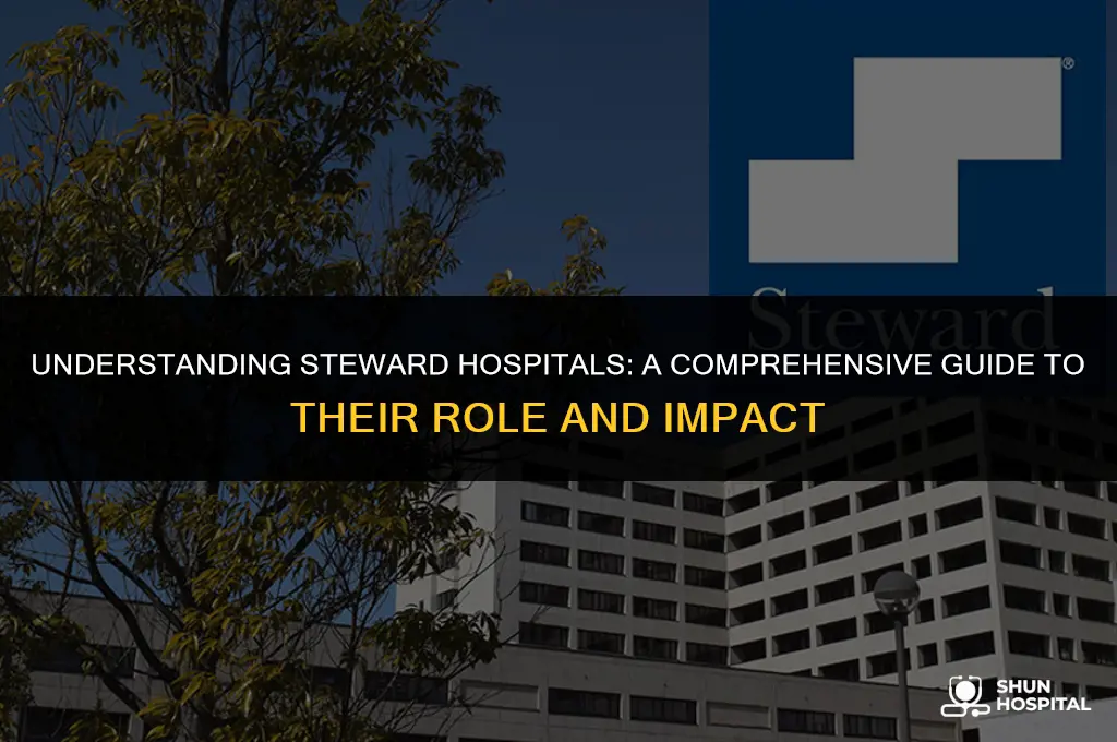 what is a steward hospital
