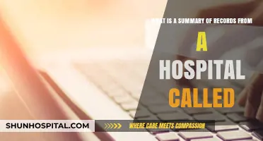 Understanding Hospital Record Summaries: A Comprehensive Overview of Medical Data