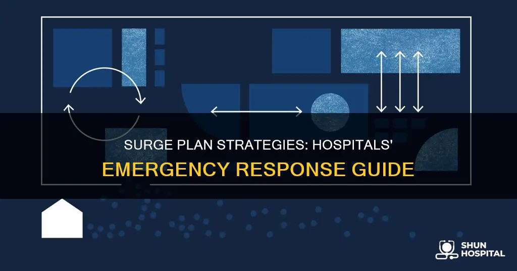 what is a surge plan for hospitals