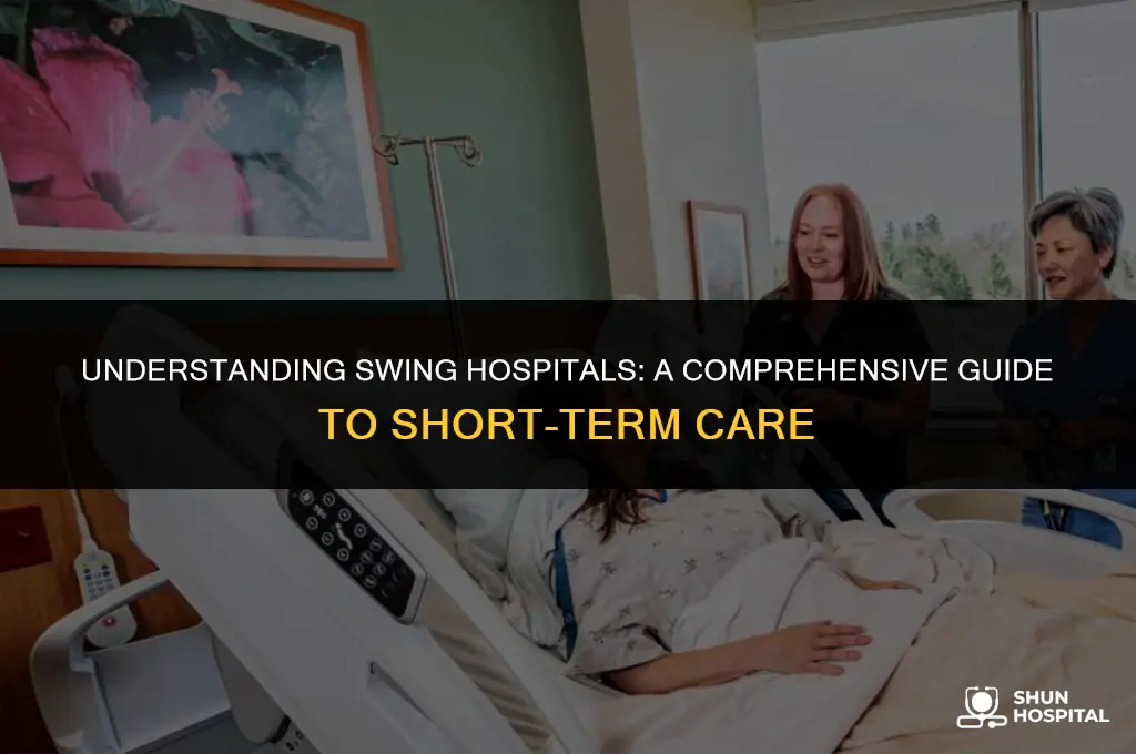 what is a swing hospital