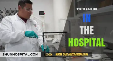 Understanding T&C Labs: Essential Hospital Testing Explained